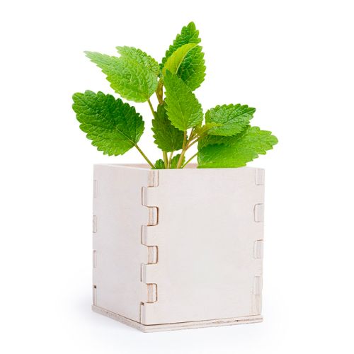 Wooden flowerpot with mint - Image 2